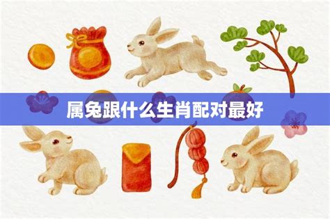 生肖兔|兔年：完整指南 